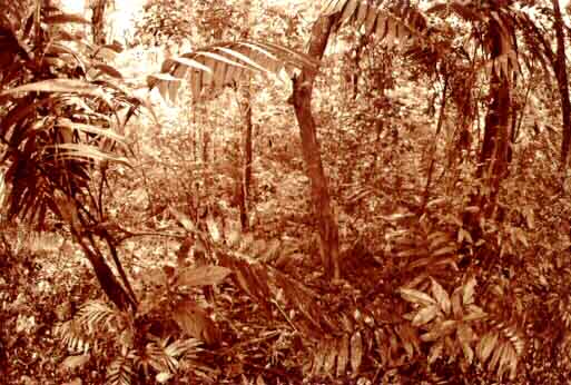 Paisaje