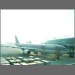 3109.jpg