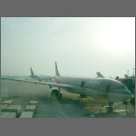 3110.jpg