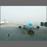 3119.jpg