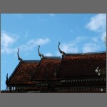 DSCF1259.JPG