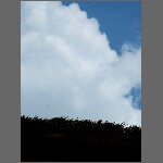 0937.JPG