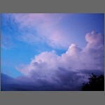 DSCF1110.JPG