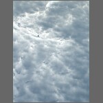 DSCF1816.JPG