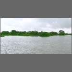 2192.JPG