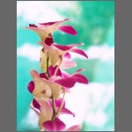 0516.JPG
