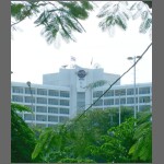 Hard Rock.JPG