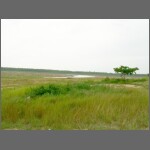 Mabprachan 1.JPG
