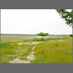 Mabprachan 2.JPG