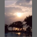 sun0580.JPG