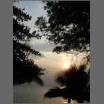 sun0582.JPG