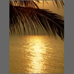 sun0583.JPG