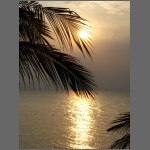sun0584.JPG