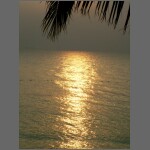 sun0585.JPG