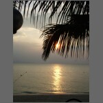 sun0586.JPG