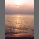 sun0590.JPG