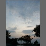 sun0593.JPG
