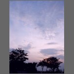 sun0594.JPG