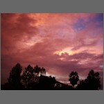 sun0596.JPG
