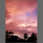 sun0597.JPG