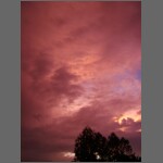 sun0598.JPG