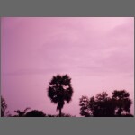 sun0599.JPG