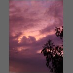 sun0600.JPG
