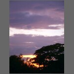 sun0607.JPG