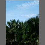 0080.JPG