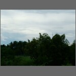 0116.JPG