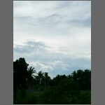 0117.JPG