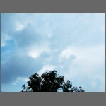 1049.JPG