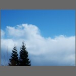 3166.JPG