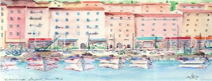 Pintor Local