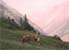 Paisaje 3