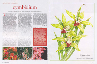 Flower of the Month - Your Garden