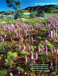 Picture Quote Page - Your Garden