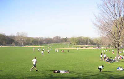 Some teams at play in the North Meadow (we MIGHT be there somewhere)