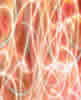 Light Image