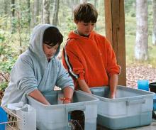 Picture of Scouts washing dishes