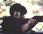 Link to Images of Shooting Sports