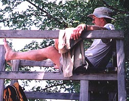 Image of Adult manning the Lookout Tower at Swim Beach