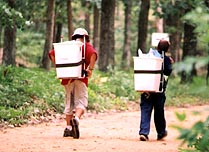 Image of Scouts hauling food back to campsite