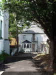 Mews1.jpg (486965 bytes)