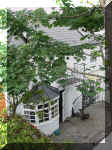 Mews2.jpg (512119 bytes)