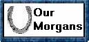 Our Morgans