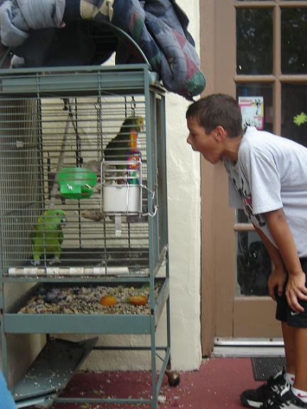 Beans vs. the talking parot