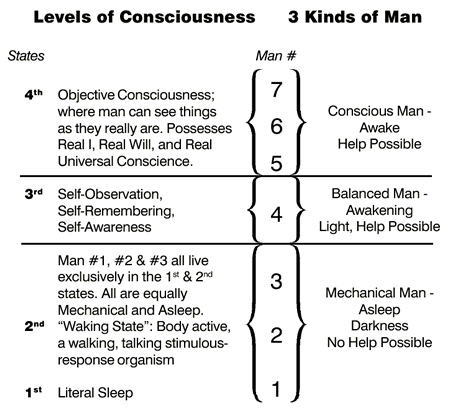 What are the four levels of consciousness?