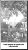 WedBuggy.gif (244381 bytes)