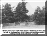 railfence.gif (262975 bytes)